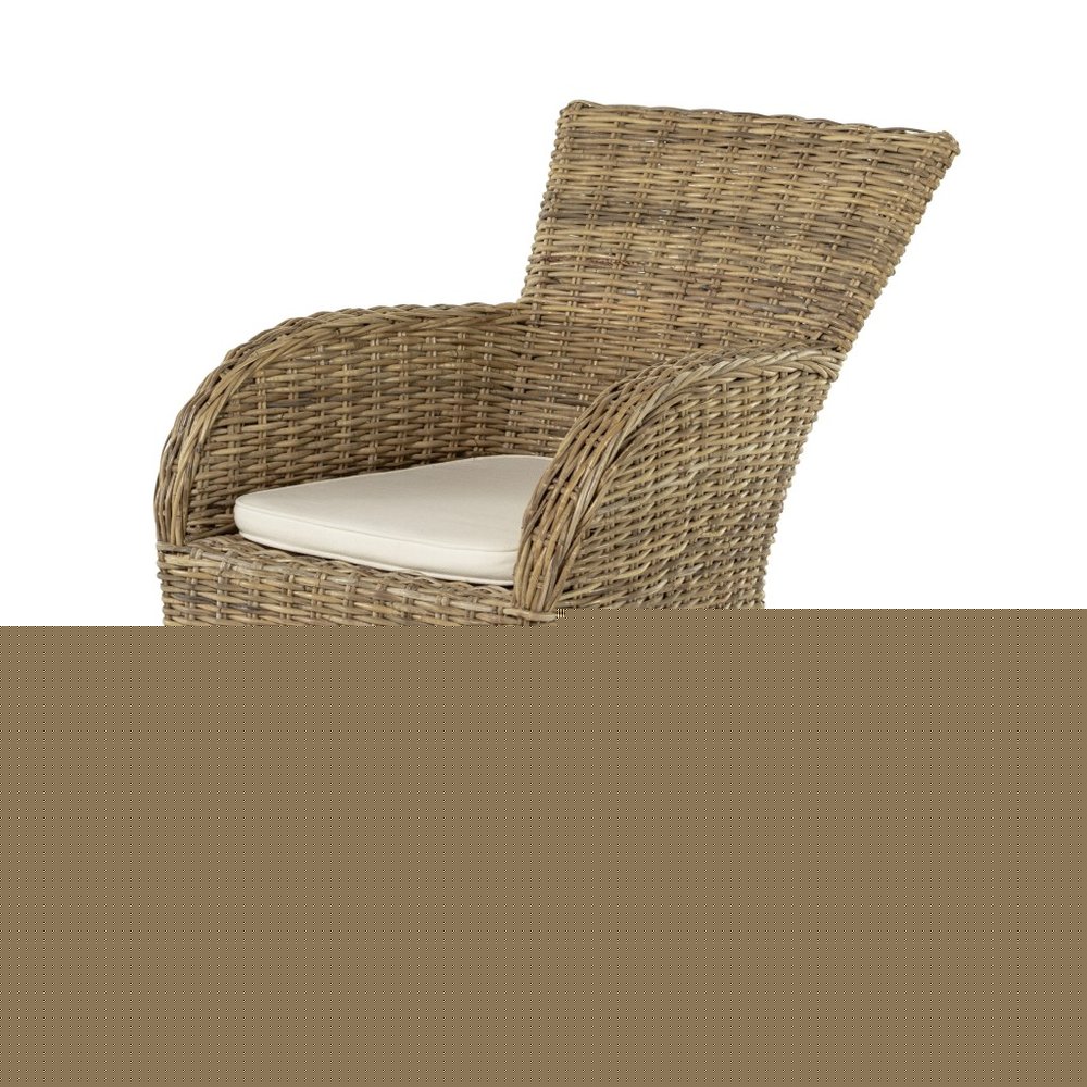 Set of Two Tan Textured Outdoor Dining Chairs with Beige Cushions HomeRoots