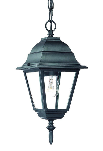 Matte Black Beveled Glass Outdoor Hanging Light HomeRoots