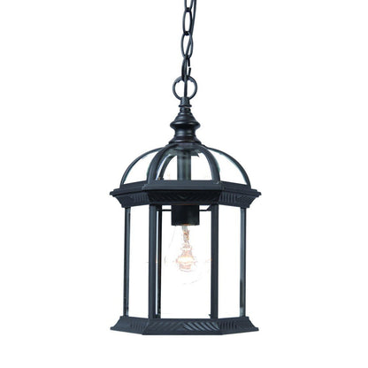 Matte Black Cage Hanging Light HomeRoots