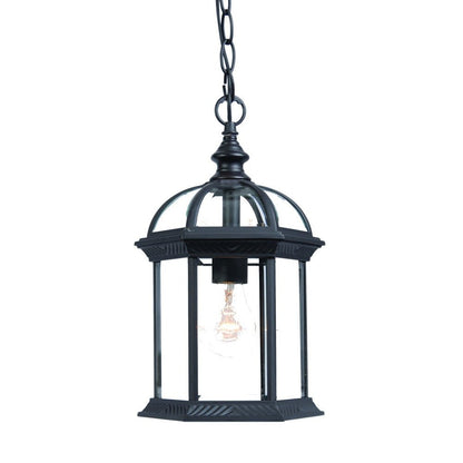 Matte Black Cage Hanging Light HomeRoots