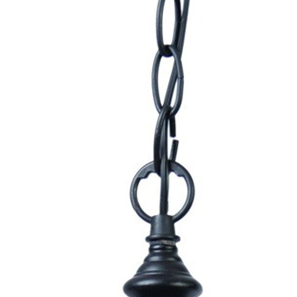 Matte Black Cage Hanging Light HomeRoots