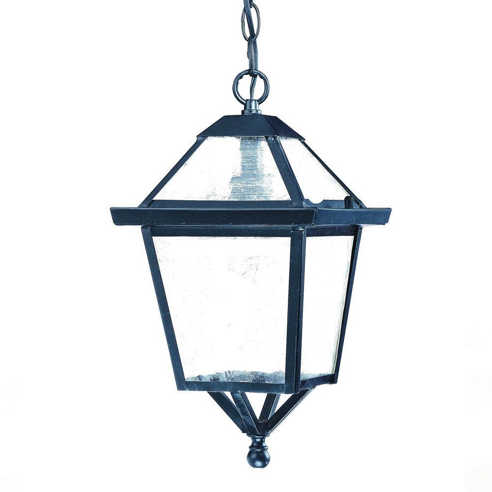 Matte Black Hanging Lantern Light - FurniFindUSA