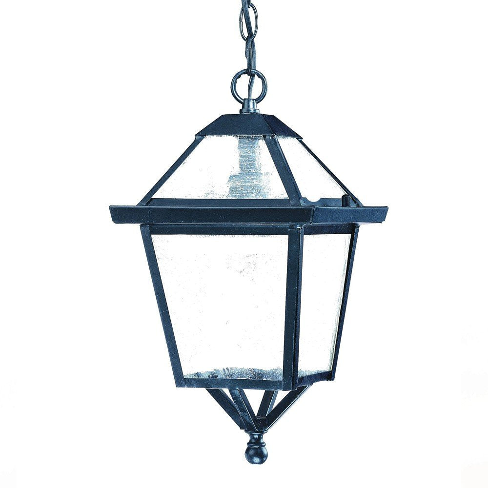 Matte Black Hanging Lantern Light HomeRoots