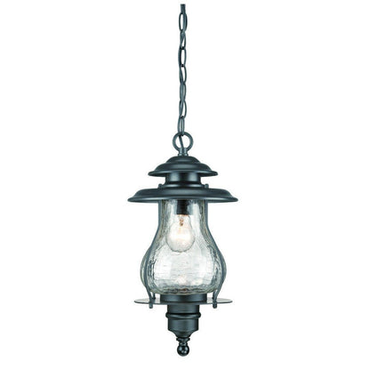 Matte Black Oil Lantern Hanging Light HomeRoots