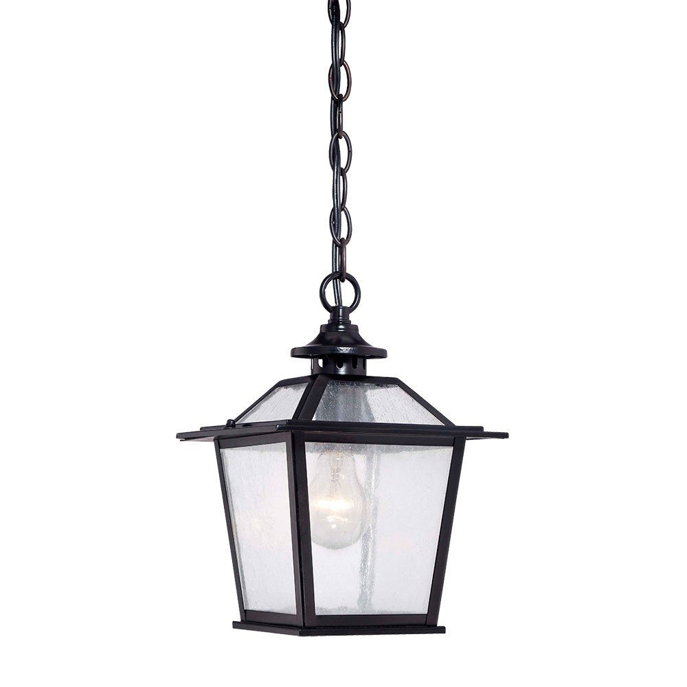 Matte Black Terrarium Shape Hanging Light — view 1