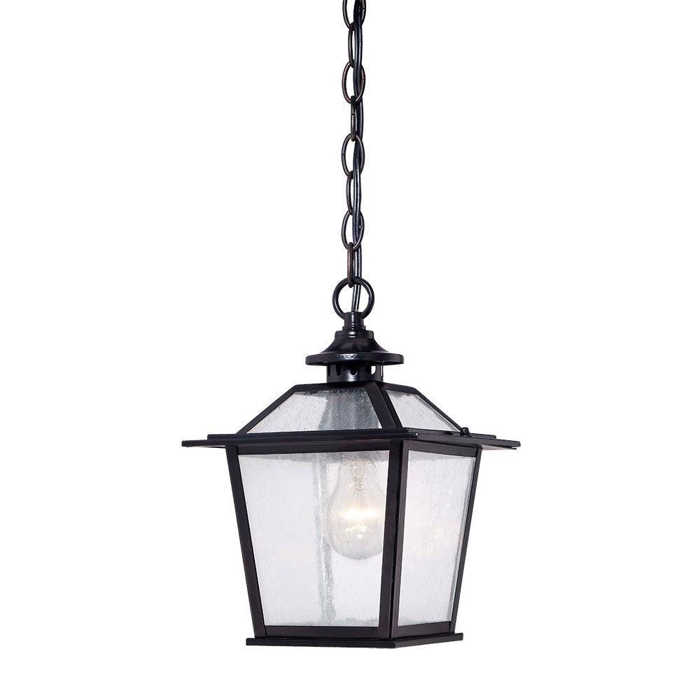 Matte Black Terrarium Shape Hanging Light - FurniFindUSA