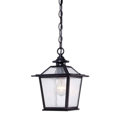 Matte Black Terrarium Shape Hanging Light HomeRoots