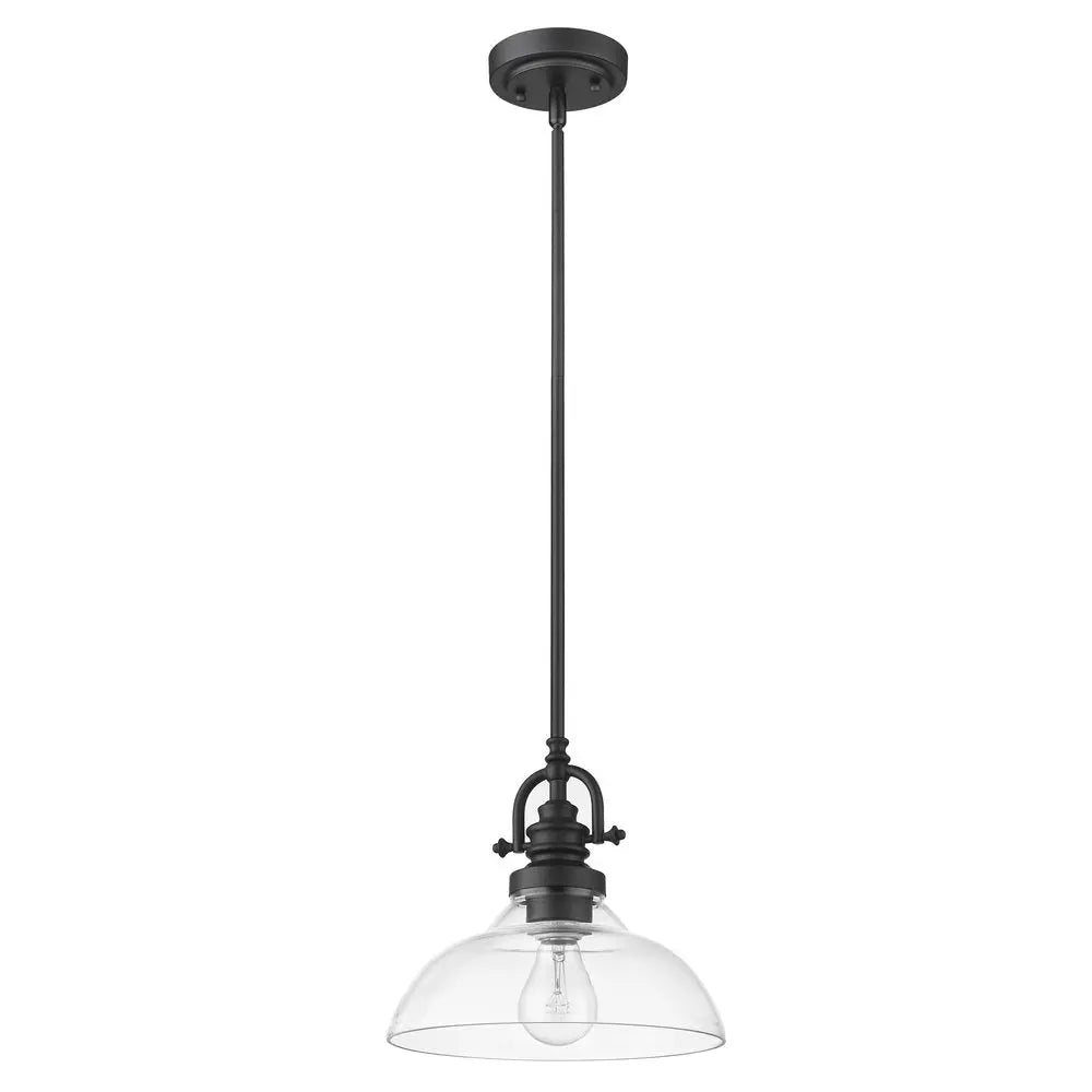 Matte Black Hanging Light with Glass Dome Shade HomeRoots