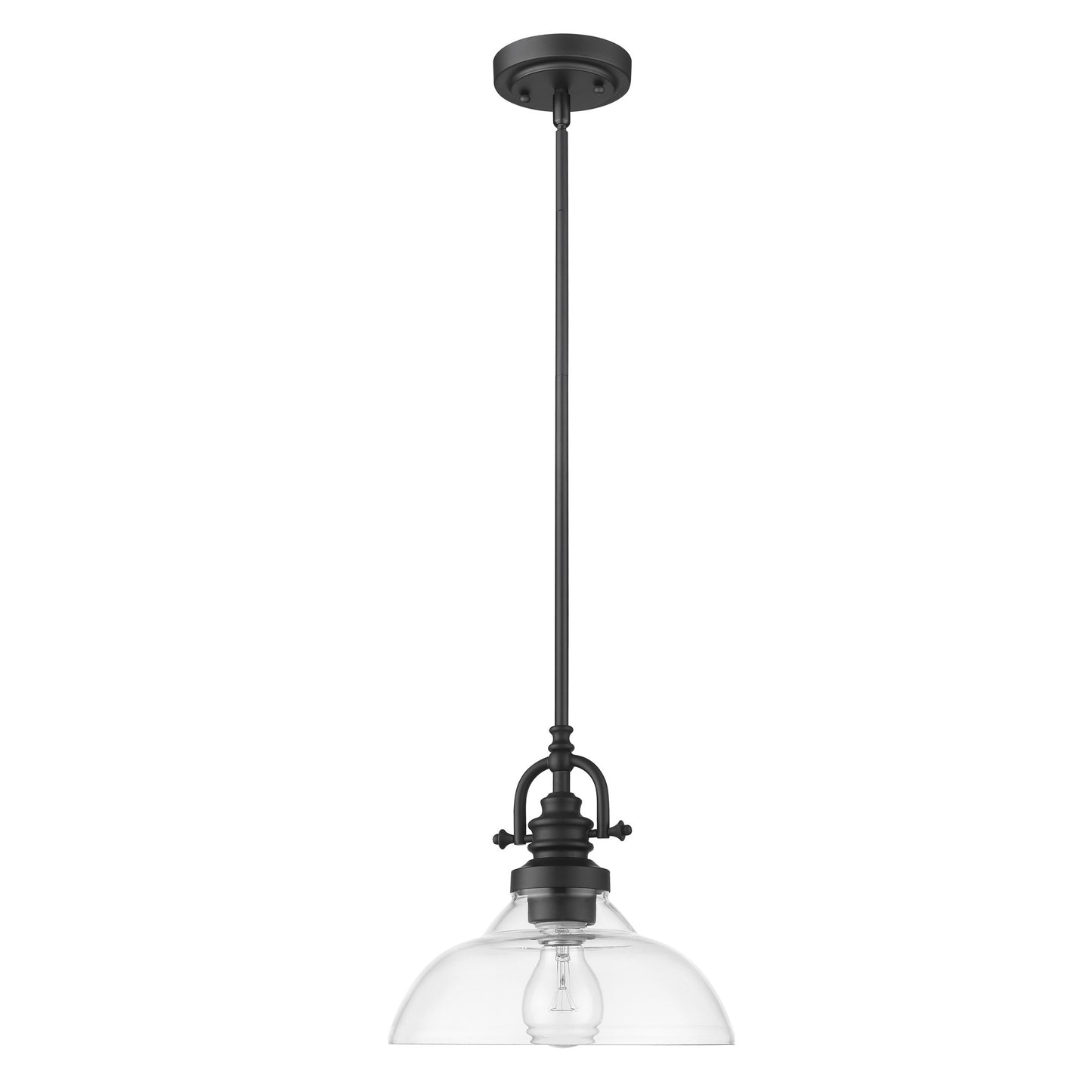 Matte Black Hanging Light with Glass Dome Shade