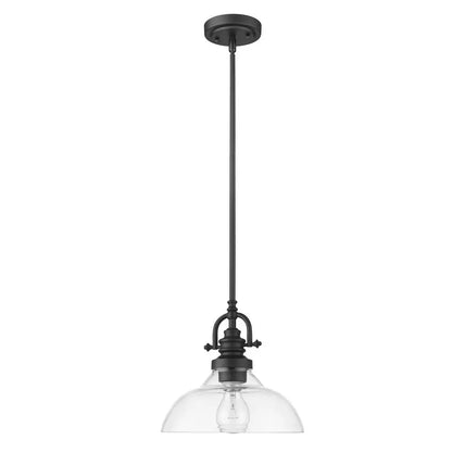 Matte Black Hanging Light with Glass Dome Shade HomeRoots