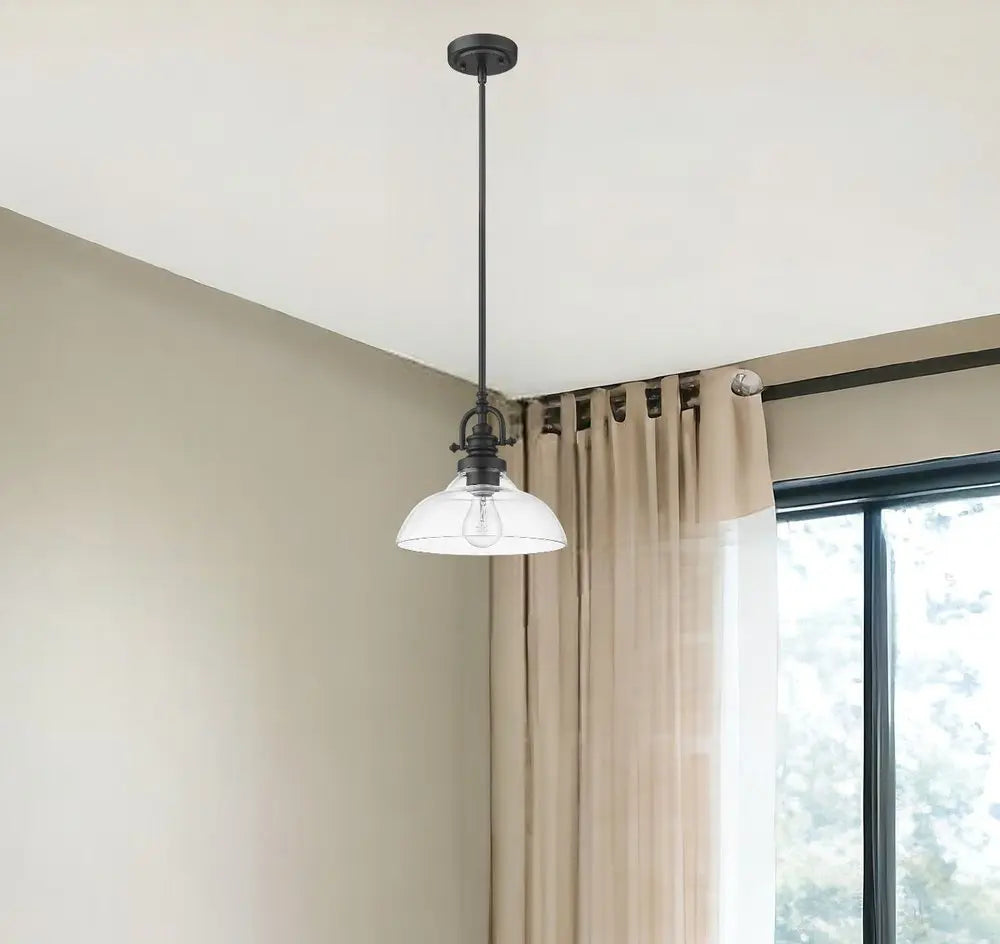 Matte Black Hanging Light with Glass Dome Shade HomeRoots