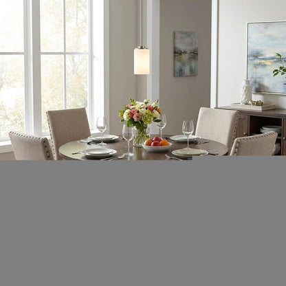 Silver Frosted Glass Hanging Light HomeRoots