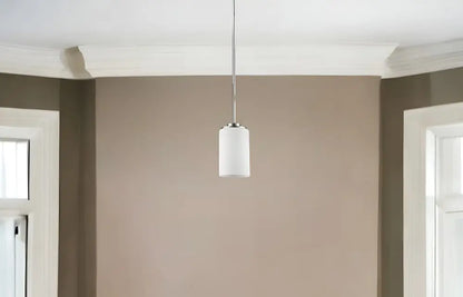 Silver Frosted Glass Hanging Light HomeRoots