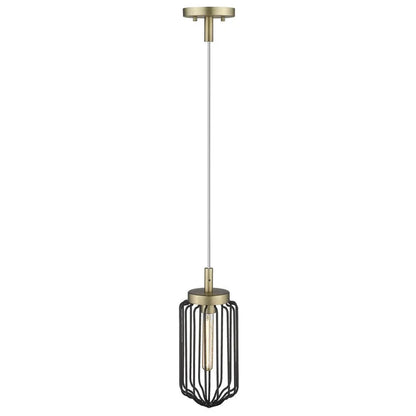 Gold and Black Metal Cage Pendant Hanging Light HomeRoots