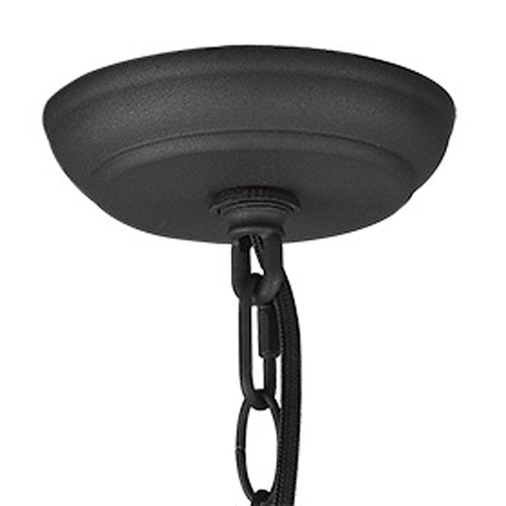 Faza 1-Light Matte Black Pendant HomeRoots