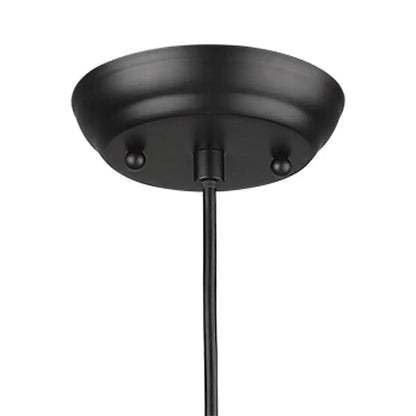 Matte Black Cork Shade Modern One Light Hanging Pendent Lamp HomeRoots