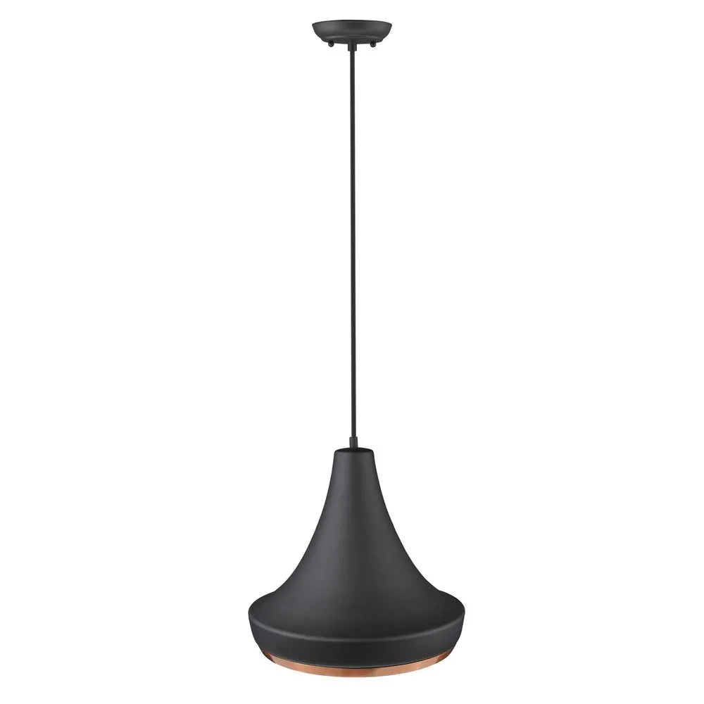 Tholos 1-Light Matte Black Pendant HomeRoots