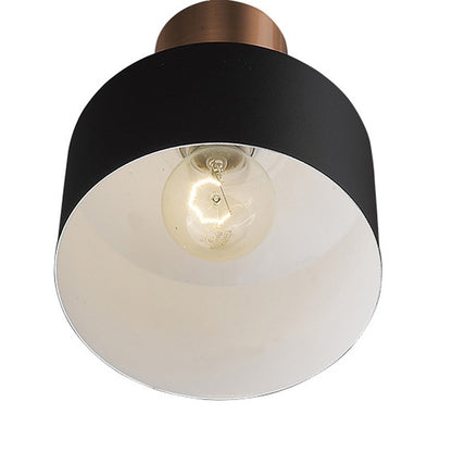 Matte Black and Rose Gold Pendant Hanging Light HomeRoots