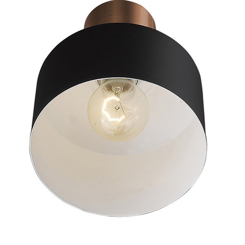 Matte Black and Rose Gold Pendant Hanging Light HomeRoots