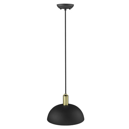 Ingo 1-Light Matte Black Pendant HomeRoots