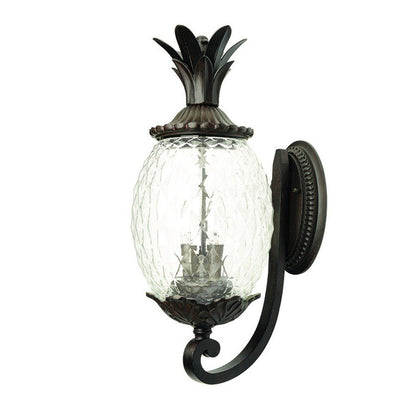22" Black And Clear Metal and Glass Vanity Flush Mounted Sconce HomeRoots