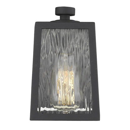 Matte Black glass panels Outdoor Wall Light HomeRoots