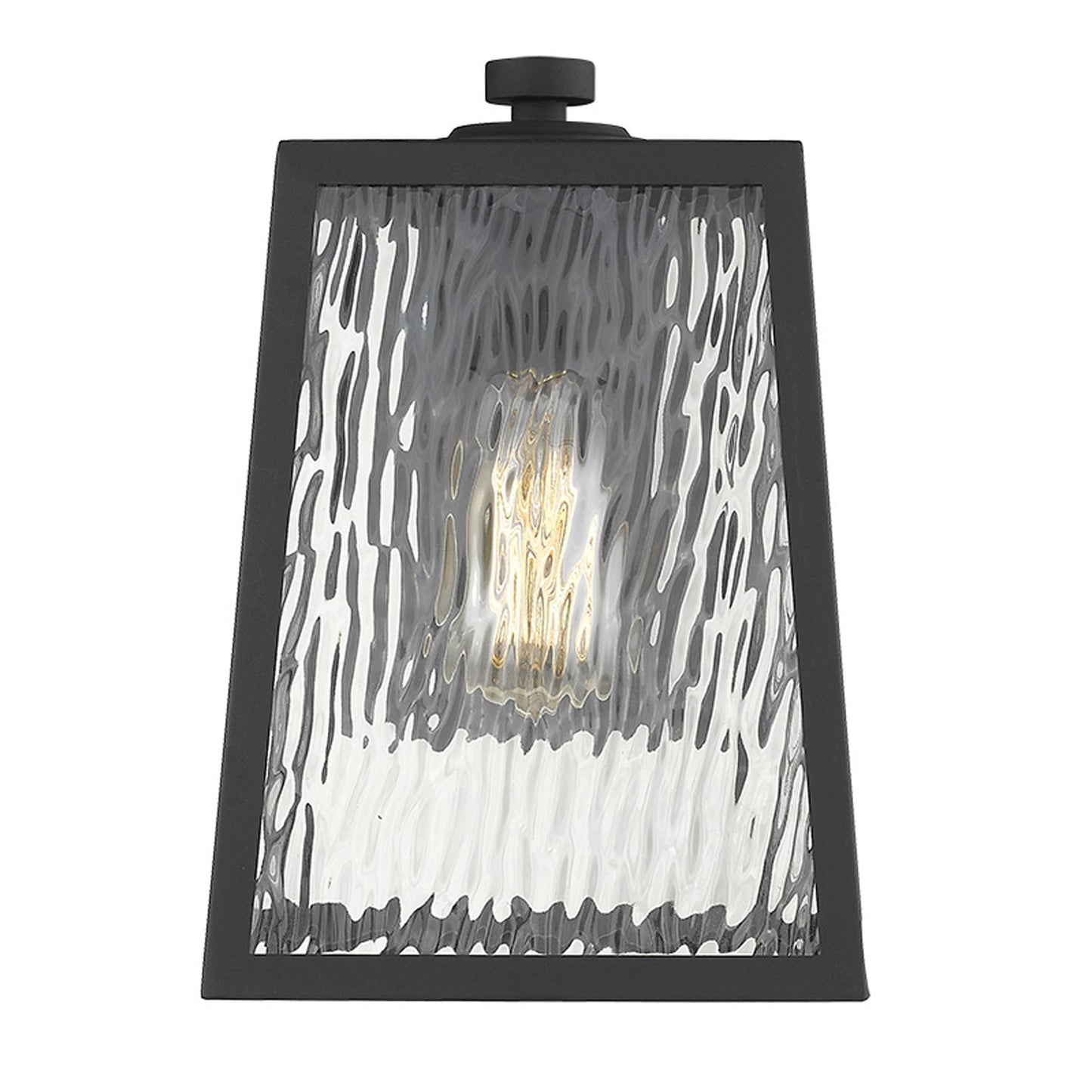 Hirche 1-Light Matte Black Wall Light