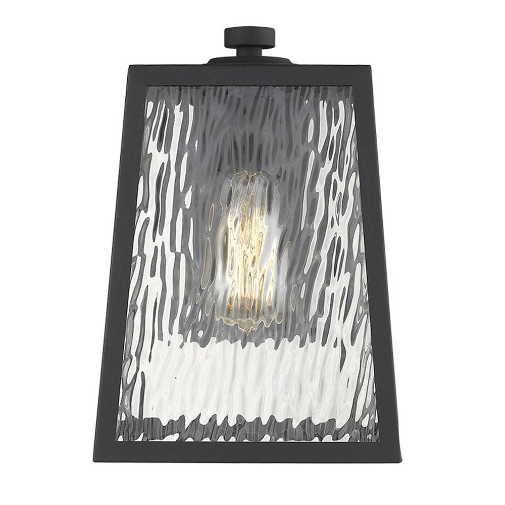 Hirche 1-Light Matte Black Wall Light HomeRoots