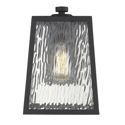 Hirche 1-Light Matte Black Wall Light HomeRoots