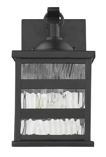 Glass panel Matte Black Outdoor Cage Light - FurniFindUSA