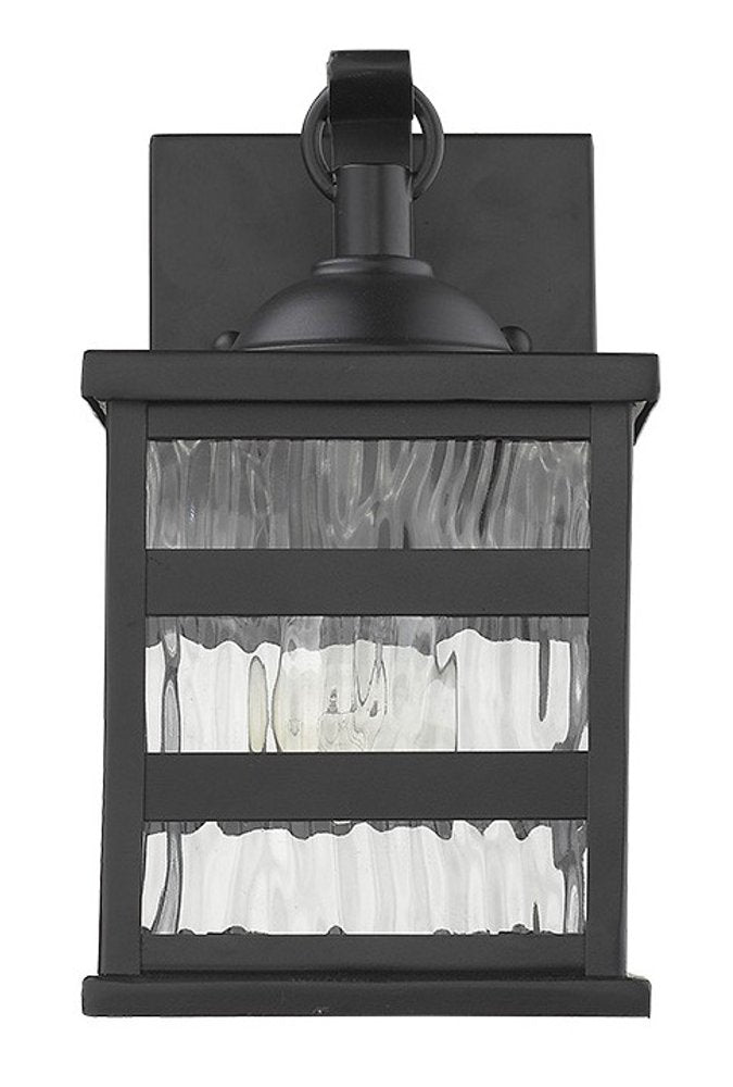 Glass panel Matte Black Outdoor Cage Light HomeRoots