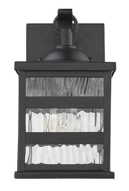 Glass panel Matte Black Outdoor Cage Light HomeRoots