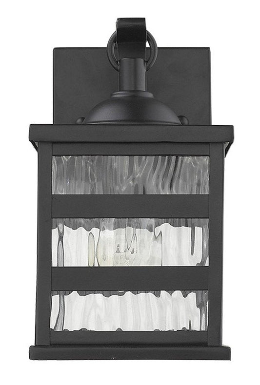 Glass panel Matte Black Outdoor Cage Light HomeRoots