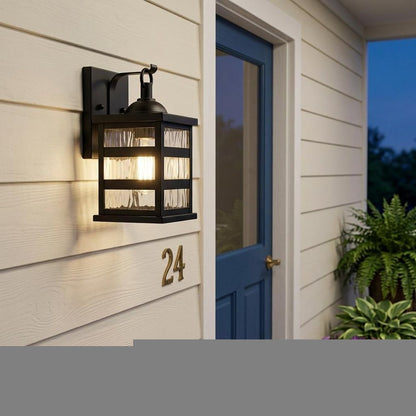 Glass panel Matte Black Outdoor Cage Light HomeRoots