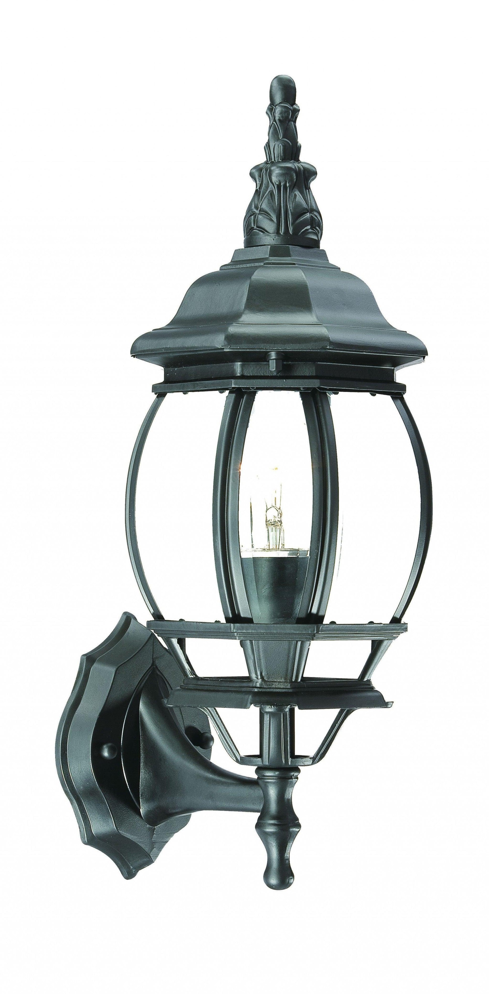 Matte Black Ornamental Glass Globe Wall Light - FurniFindUSA