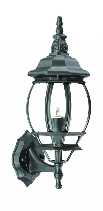 Matte Black Ornamental Glass Globe Wall Light HomeRoots