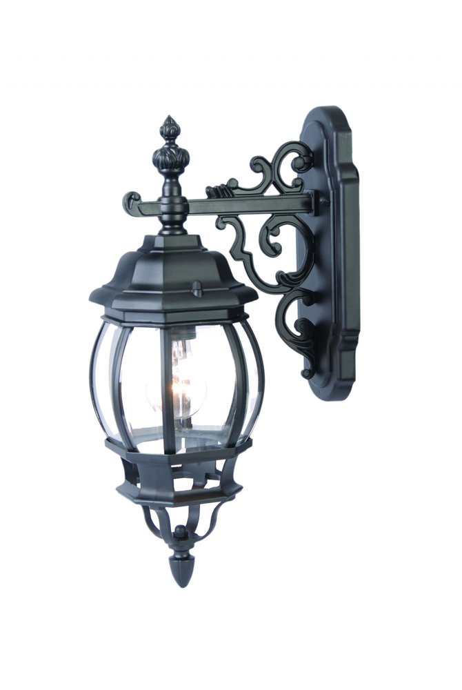 Matte Black Hanging Glass Globe Wall Light HomeRoots