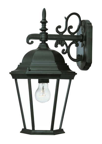 Matte Black Domed Glass Hanging Lantern Wall Light - FurniFindUSA