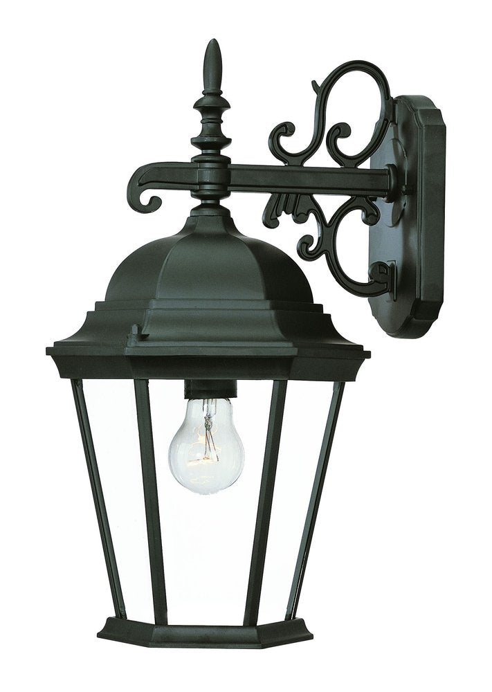 Matte Black Domed Glass Hanging Lantern Wall Light — view 1