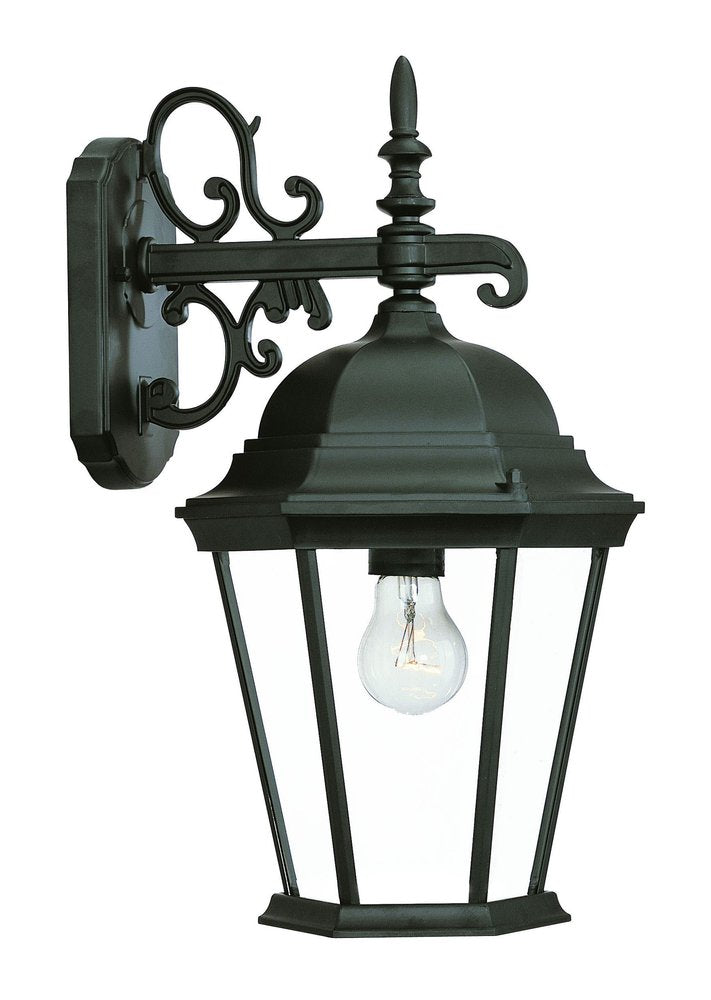 Matte Black Domed Glass Hanging Lantern Wall Light — view 3