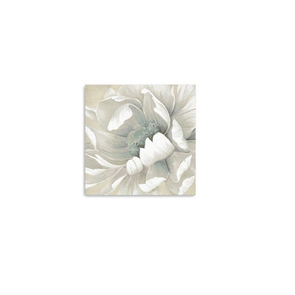 Soft Winter Flower In Bloom Unframed Print Wall Art HomeRoots