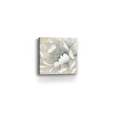 Soft Winter Flower In Bloom Unframed Print Wall Art HomeRoots