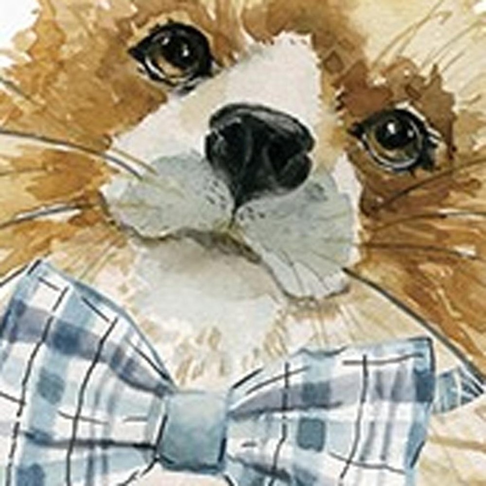 20" x 20" Watercolor Cutie Bow Tie Fox Canvas Wall Art HomeRoots