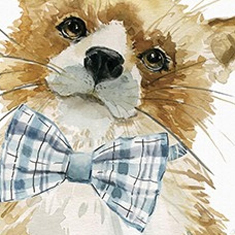 20" x 20" Watercolor Cutie Bow Tie Fox Canvas Wall Art HomeRoots