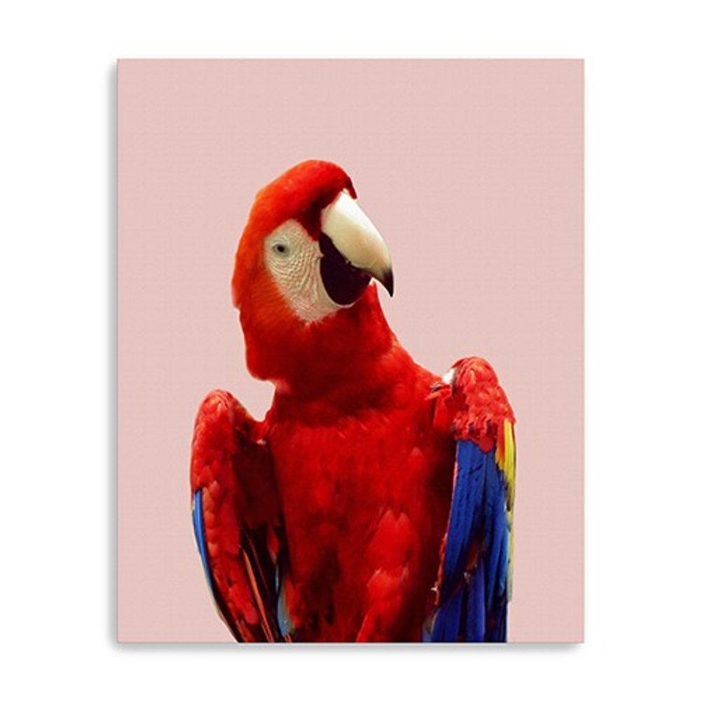 Vibrant And Vivid Bird Unframed Print Wall Art — view 2