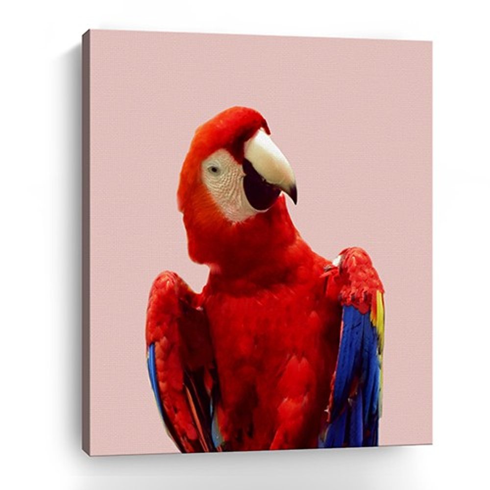 Vibrant And Vivid Bird Unframed Print Wall Art — view 3