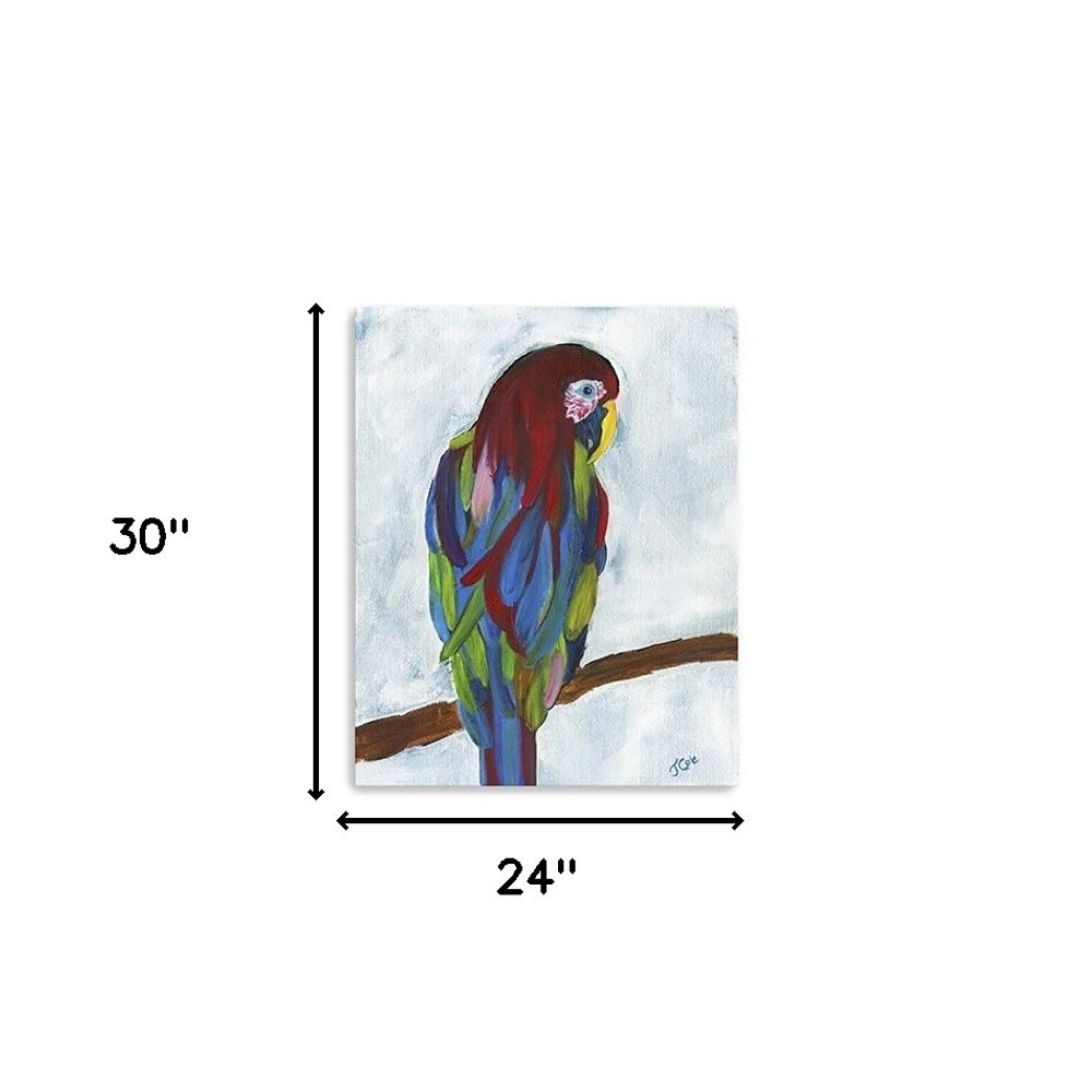 Small Bright and Tropical Parrot Canvas Wall Art HomeRoots