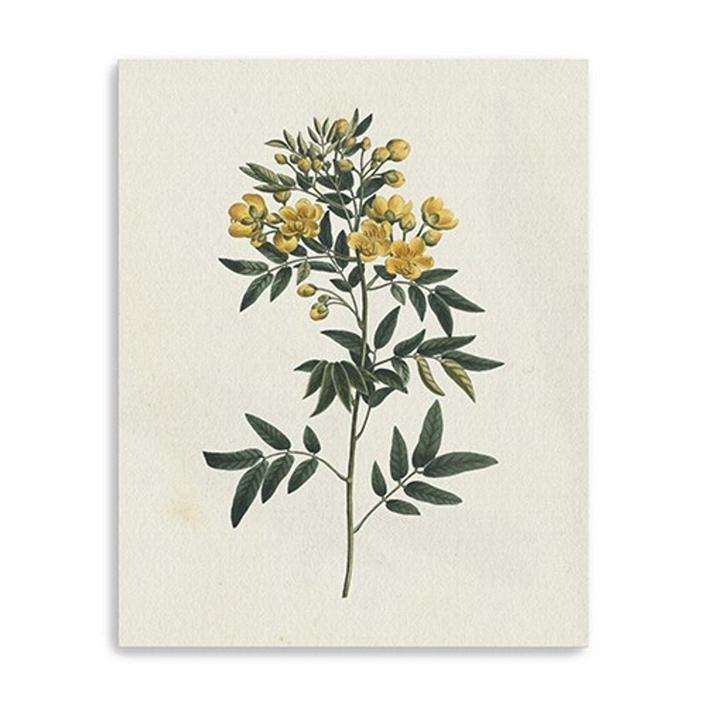 Singular Yellow Blossom Branch Unframed Print Wall Art HomeRoots
