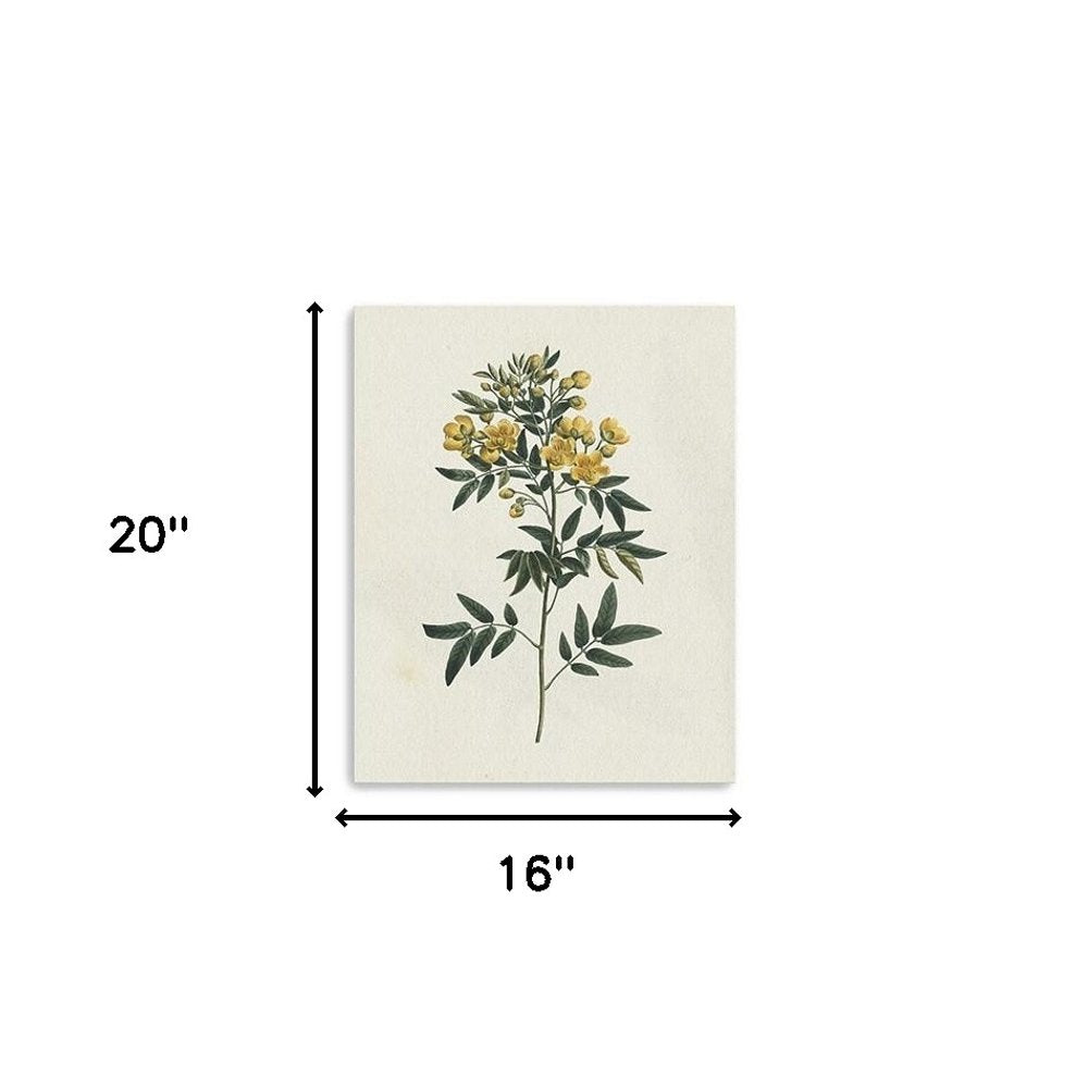 Singular Yellow Blossom Branch Unframed Print Wall Art HomeRoots