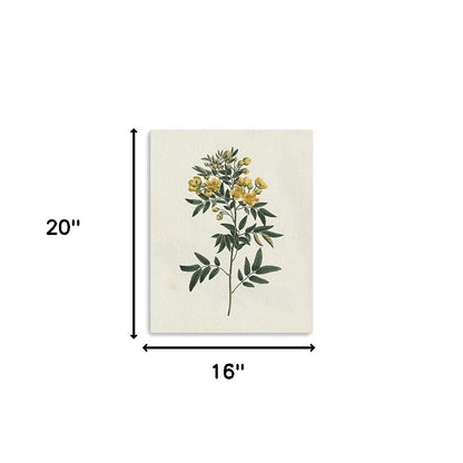 Singular Yellow Blossom Branch Unframed Print Wall Art